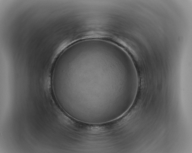 X0000110721459200906121418