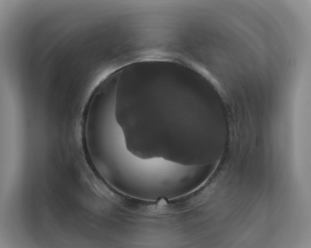 X0000110721463200906121418