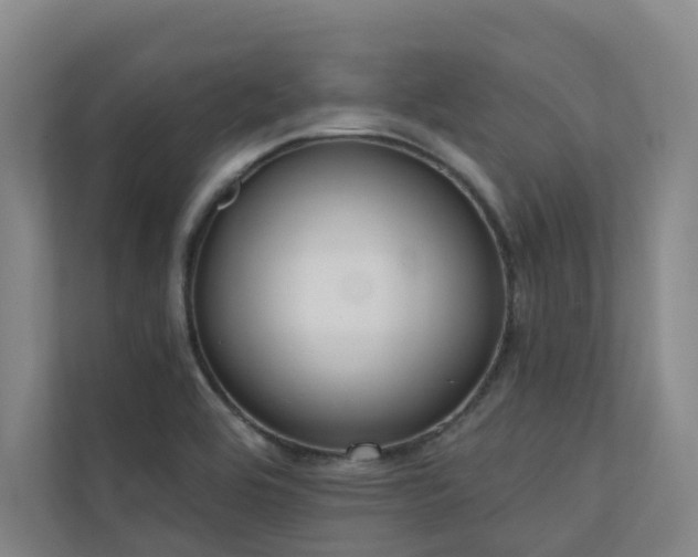 X0000110721464200906121418
