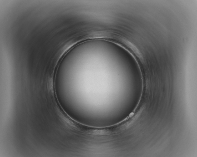 X0000110721465200906121418
