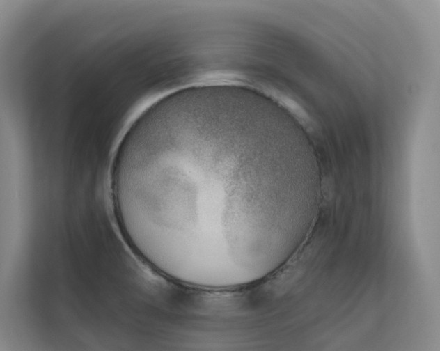 X0000110721470200906121418