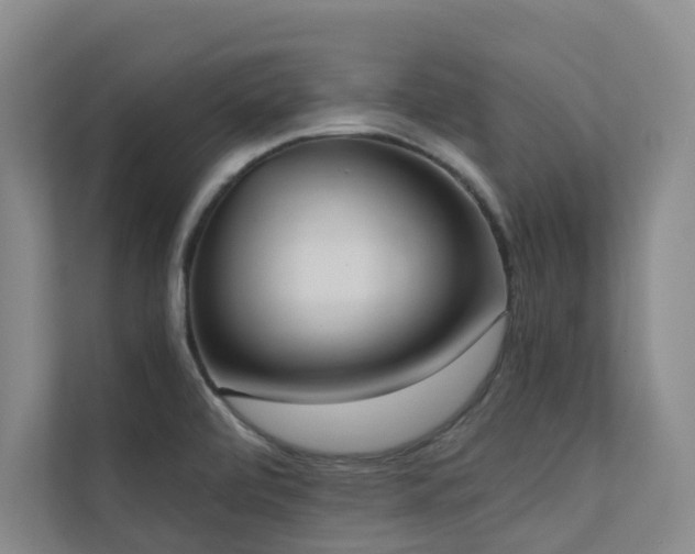X0000110721472200906121418