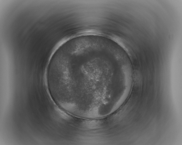 X0000110721474200906121418