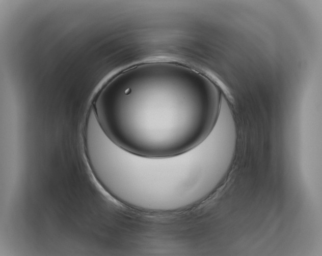 X0000110721476200906121418