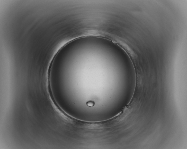 X0000110721479200906121418