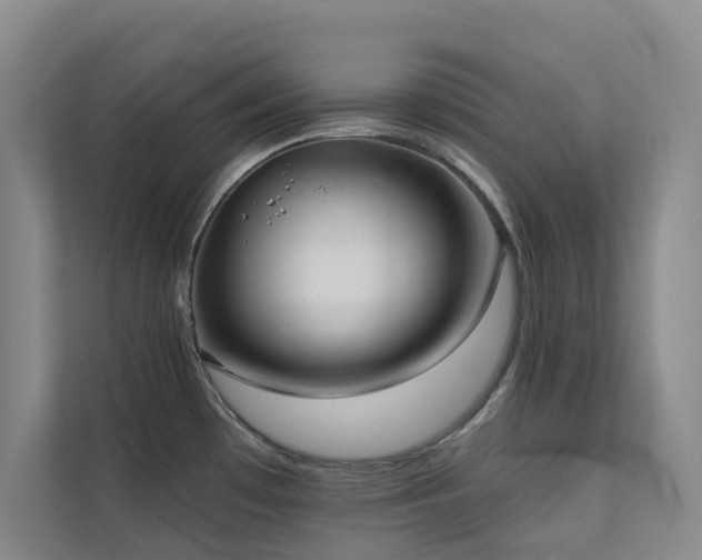 X0000110721481200906121418