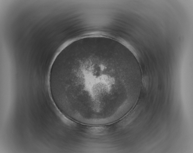 X0000110721482200906121418