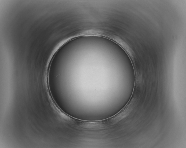 X0000110721486200906121418