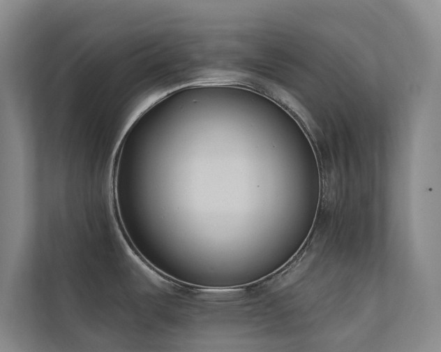 X0000110721487200906121418