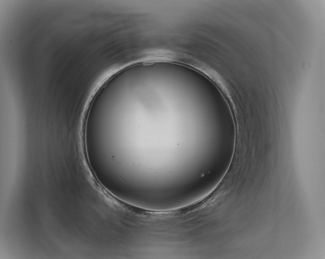 X0000110721488200906121418
