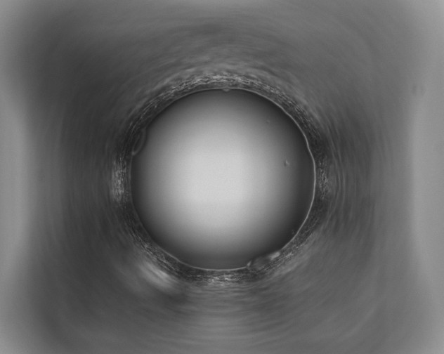 X0000110721490200906121417
