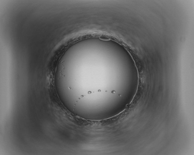 X0000110721495200906121417