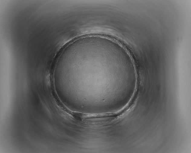 X0000110721497200906121417