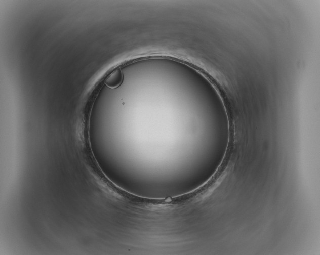 X0000110721502200906121417