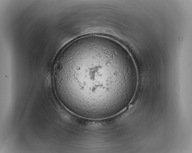 X0000110721505200906121417
