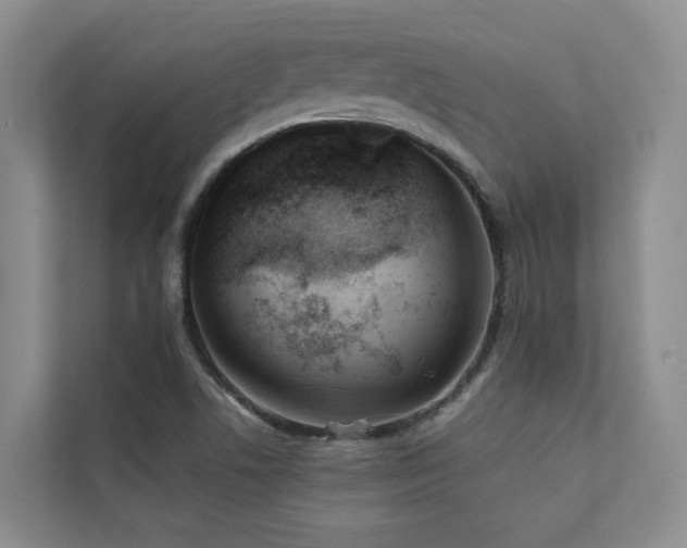 X0000110721506200906121417