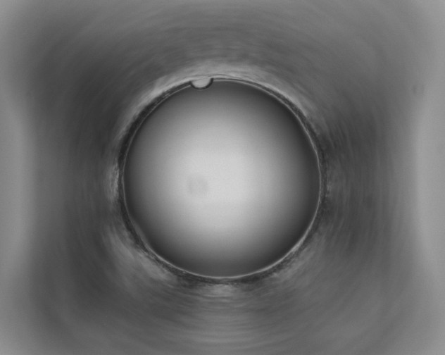 X0000110721507200906121417