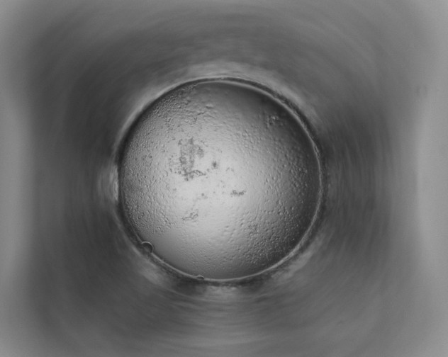 X0000110721509200906121417