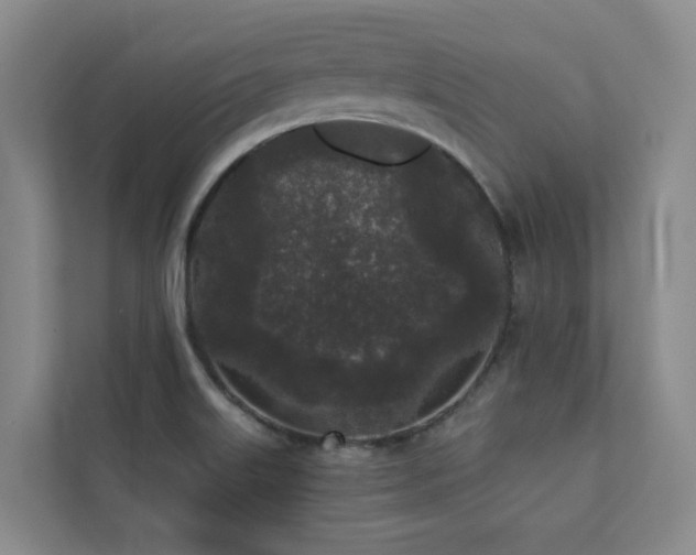 X0000110721515200906121418