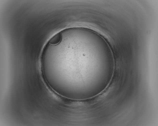 X0000110721517200906121418