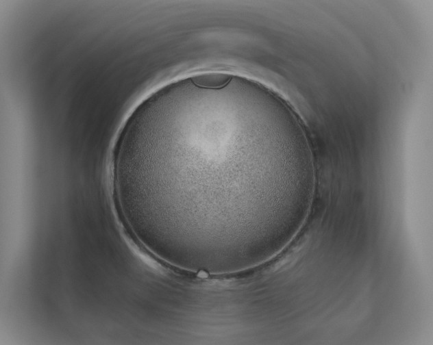 X0000110721519200906121418