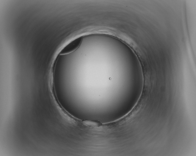 X0000110721520200906121418