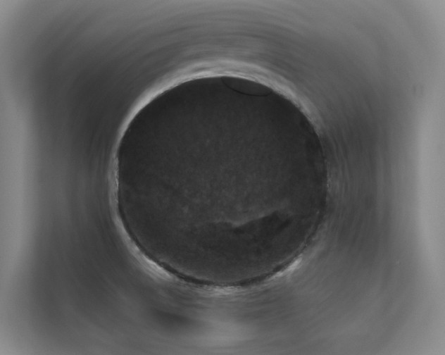 X0000110721522200906121418