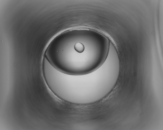 X0000110721524200906121418