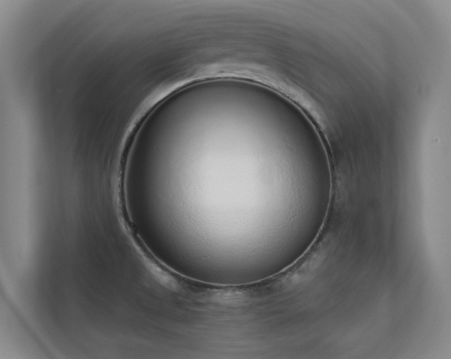 X0000110721525200906121418