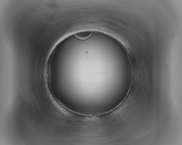 X0000110721526200906121418