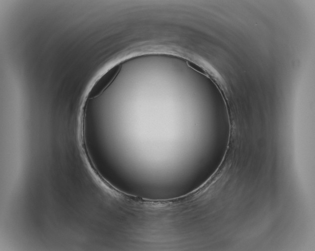 X0000110721528200906121418