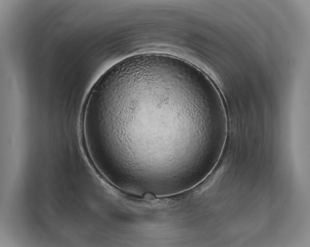 X0000110721533200906121418