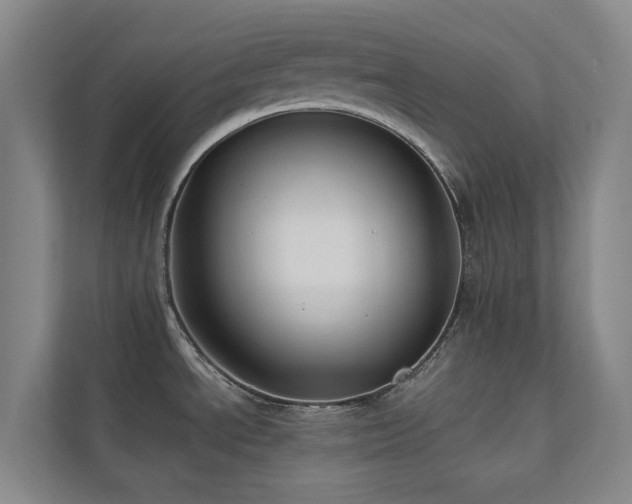 X0000110721534200906121418