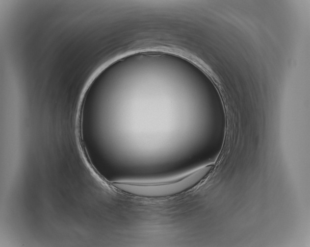 X0000110721536200906121418