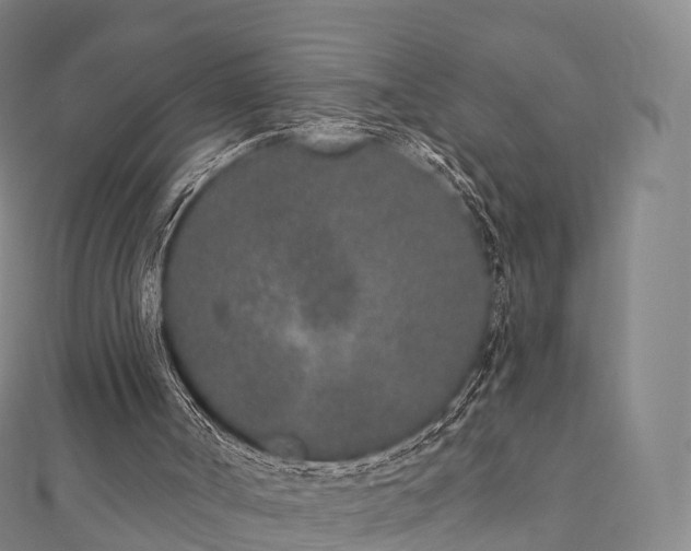 X0000110720002200906191515