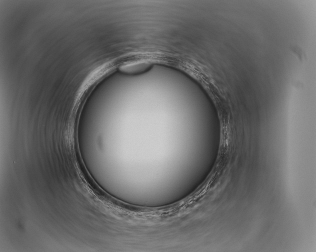X0000110720004200906191515