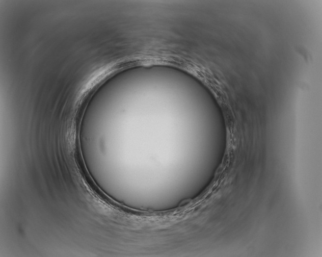 X0000110720005200906191515