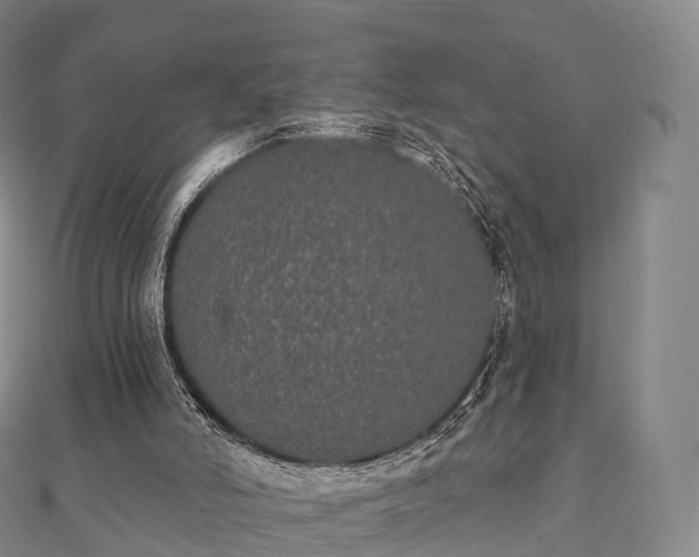 X0000110720006200906191515