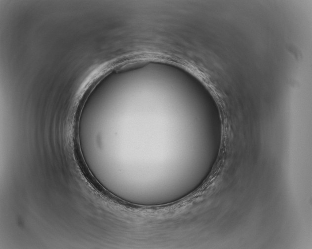 X0000110720007200906191515