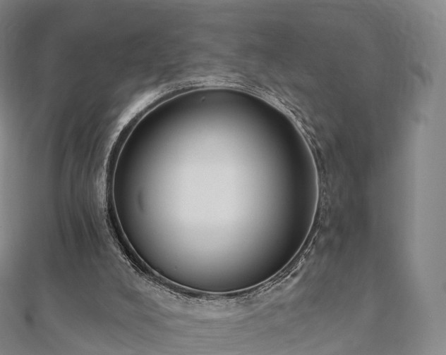 X0000110720008200906191515