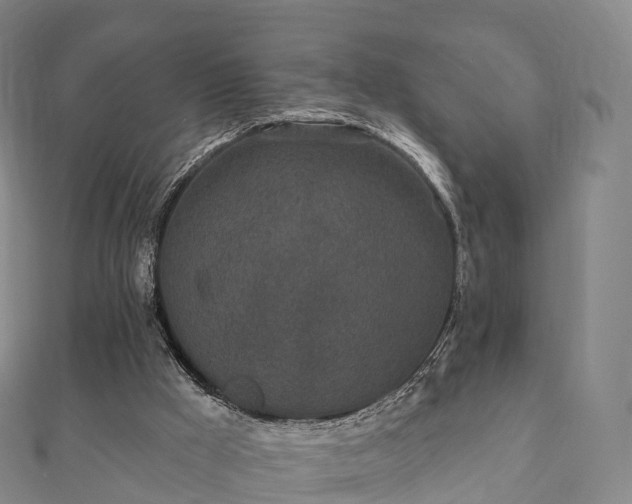 X0000110720009200906191515