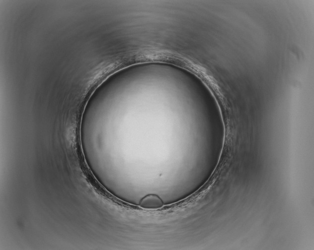 X0000110720010200906191515