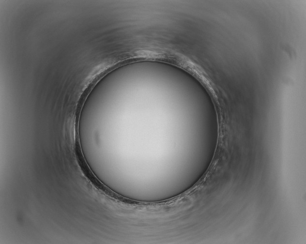 X0000110720011200906191515