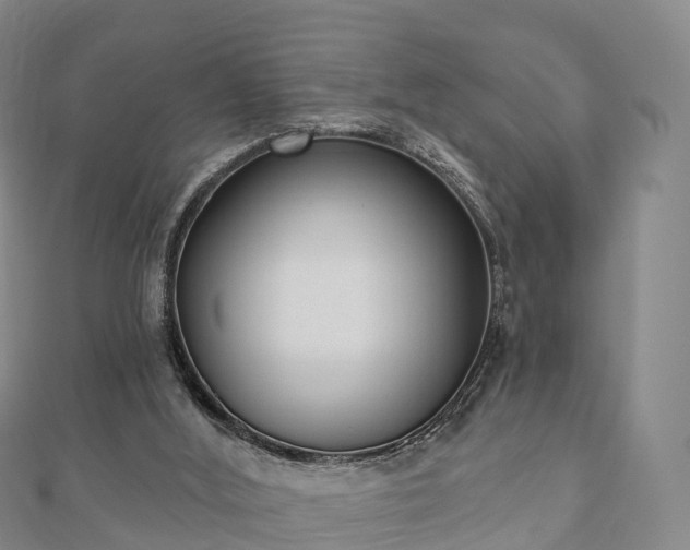 X0000110720012200906191515
