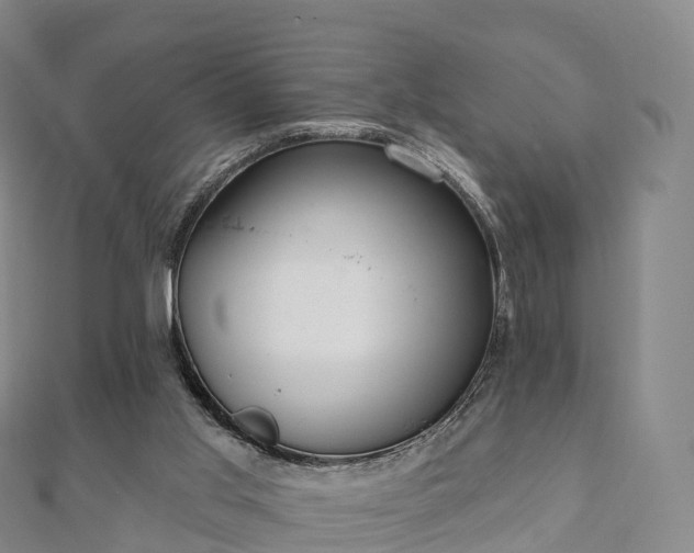 X0000110720013200906191515