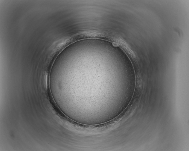 X0000110720014200906191515