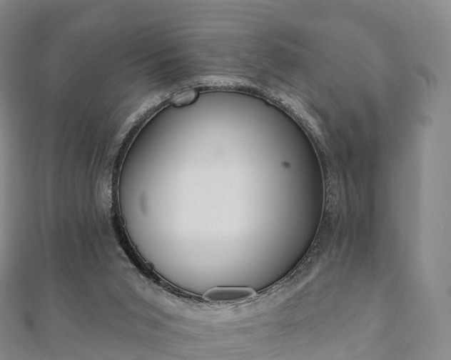 X0000110720015200906191515