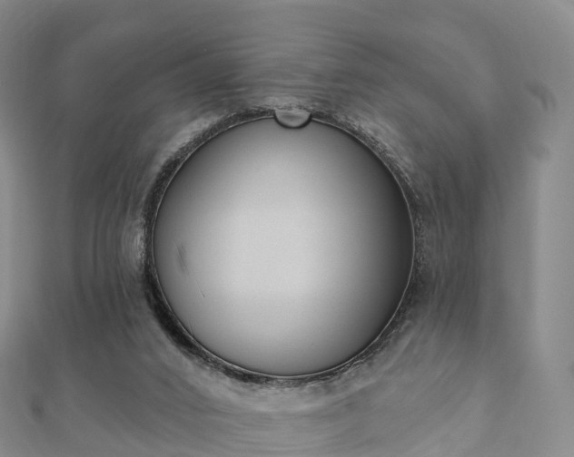 X0000110720016200906191515