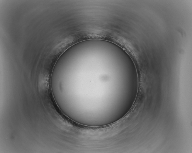 X0000110720017200906191515
