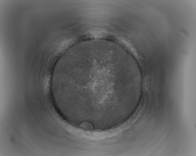 X0000110720018200906191515